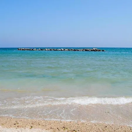 Welcoming In At The Seabeach